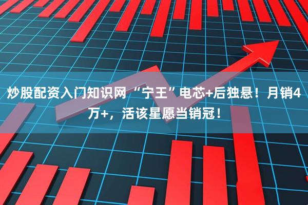 炒股配资入门知识网 “宁王”电芯+后独悬！月销4万+，活该星愿当销冠！